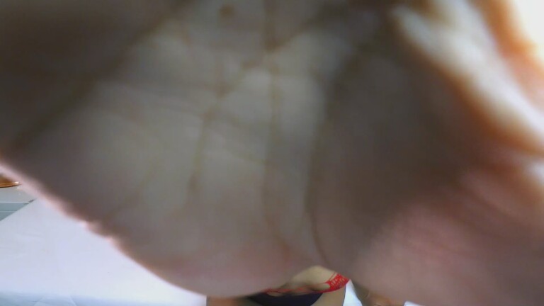 Yankerandrea's Streamate show and profile